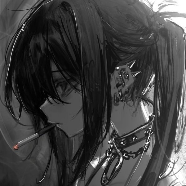 ǫᴜᴇʀᴀ ᴋᴀɪsᴛᴇʀ✨