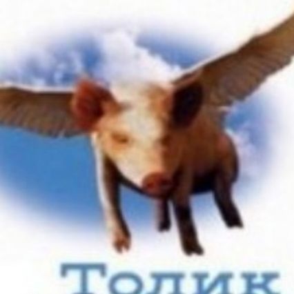 Магомед Махмудов