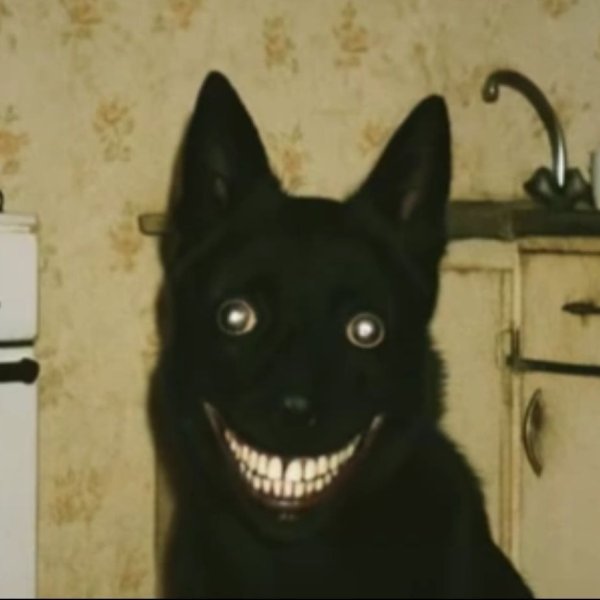 бобэрчик