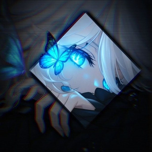 ǫᴜᴇʀᴀ ᴋᴀɪᴢᴇʀ