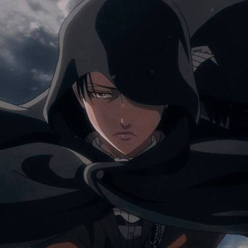 ∆Levi_Ackerman∆