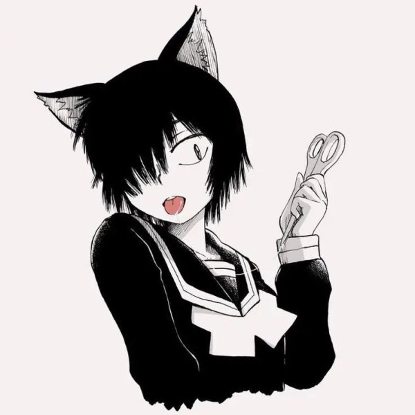 kv_ass