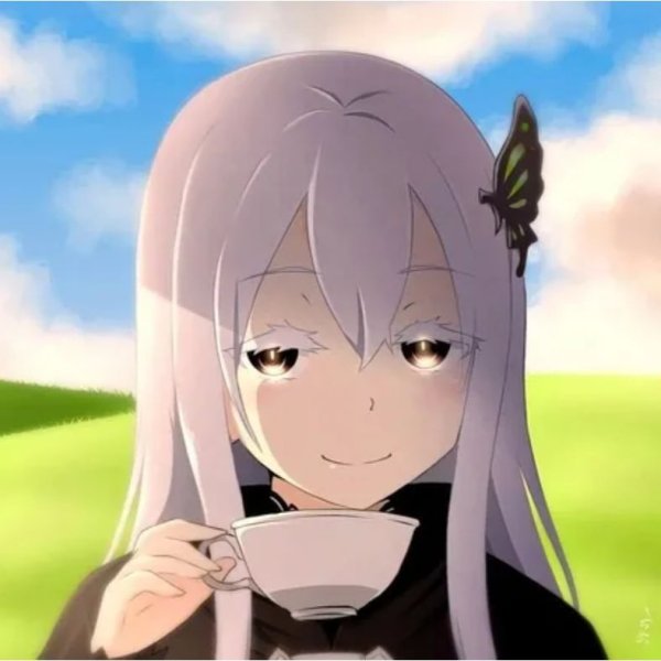 Чаёк Ехидны