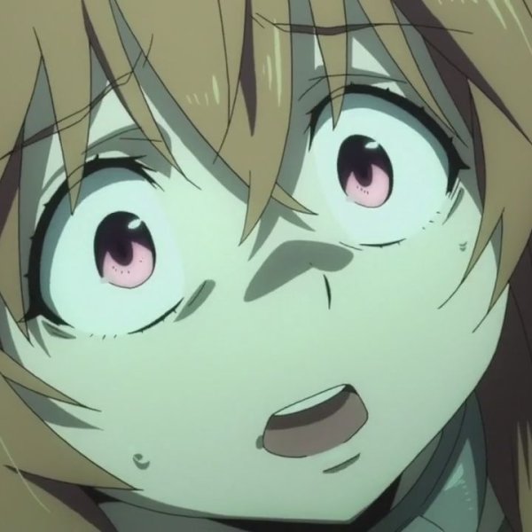 Snopseno⁴²ノAnixart