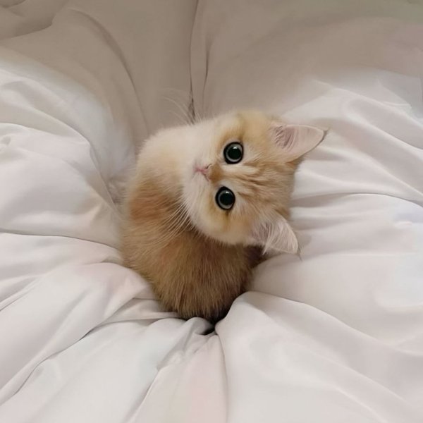 Неримик
