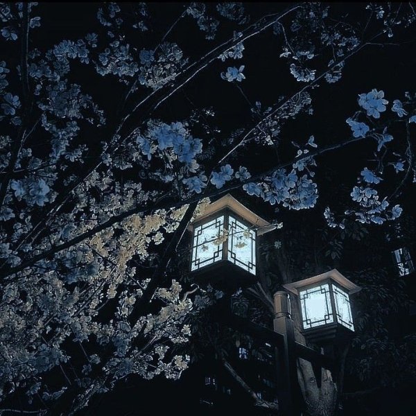 "Shen qianqiu'