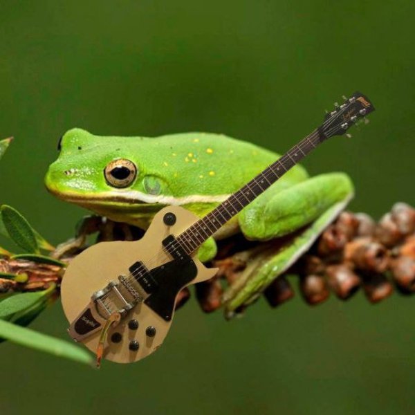 Мидо Кидоиро