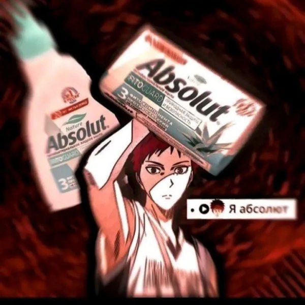 shiro absolute