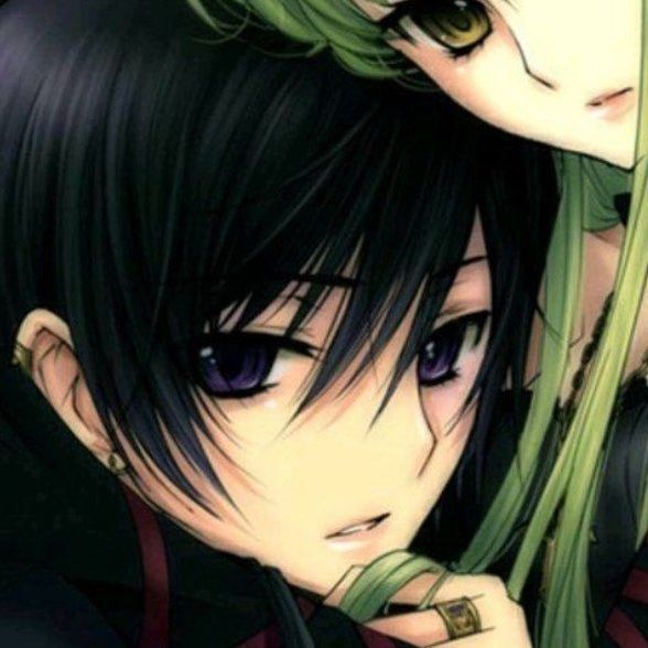 шедевропрофильник