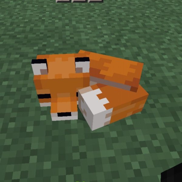 vayper