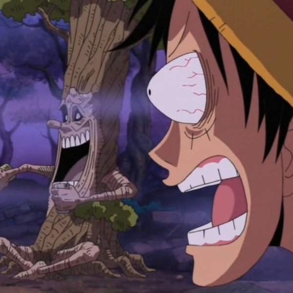 Fanat One Piece