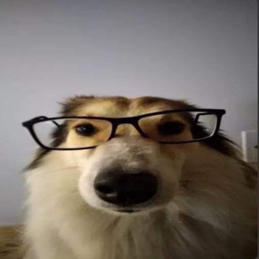 HyperMC
