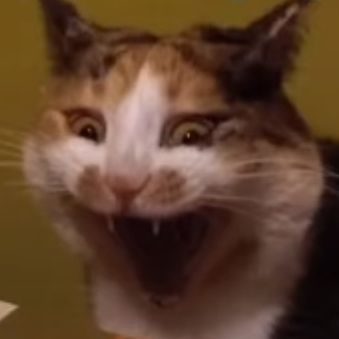 cat_demon