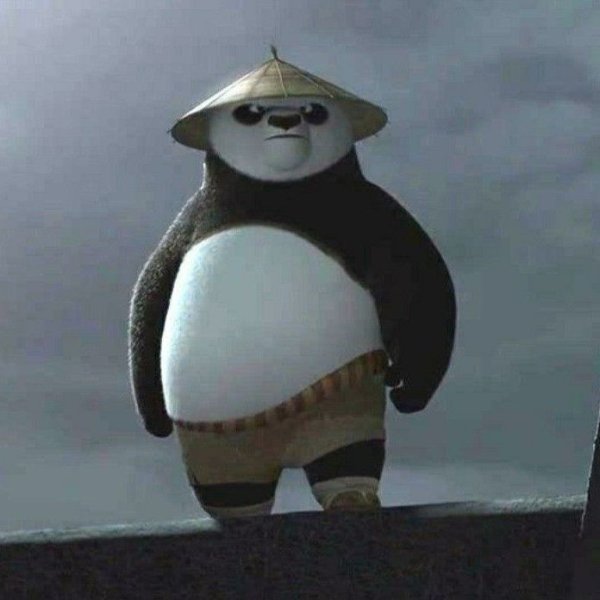 Yocel.Po