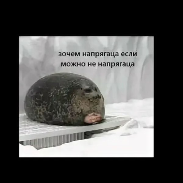Идеал человека