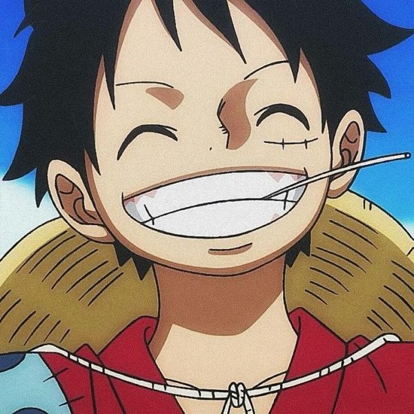 бибизяна2013