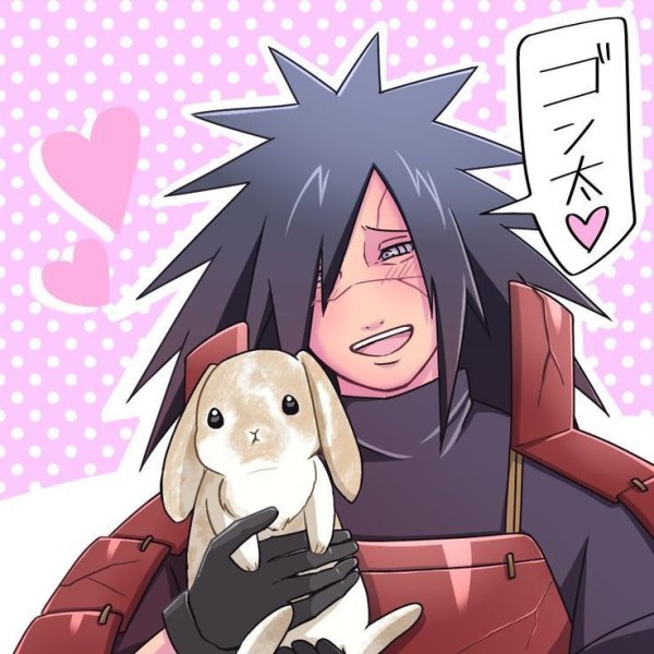 smallcat.anixart
