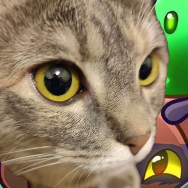 kotera_yta