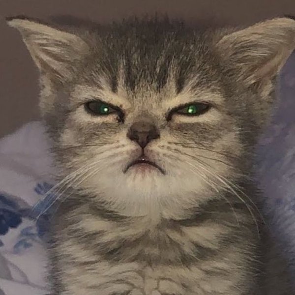 lor3