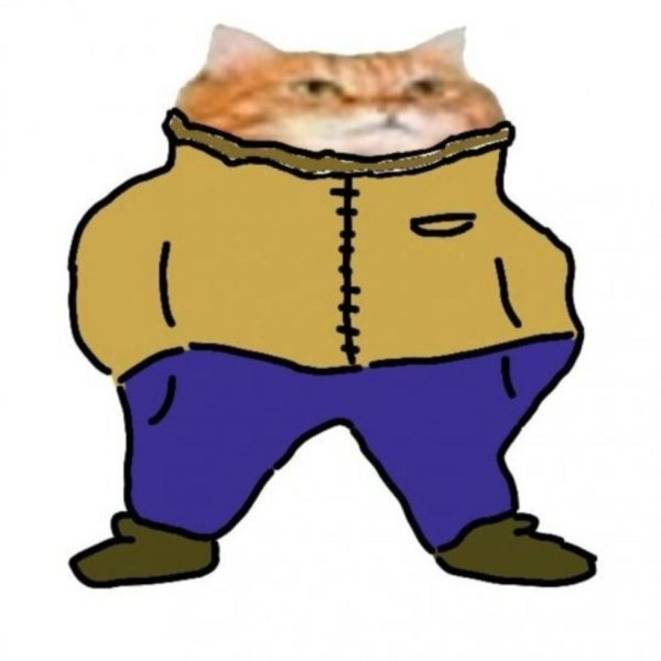 NuTipaKotik
