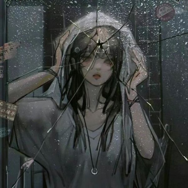 <°•ʍоᴧᴧи°•>