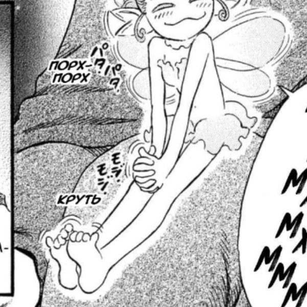 ножки Ивалеры