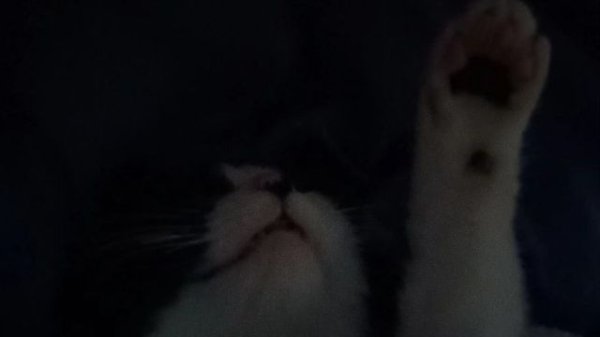 Обложка Топ 10 аниме 2023 года